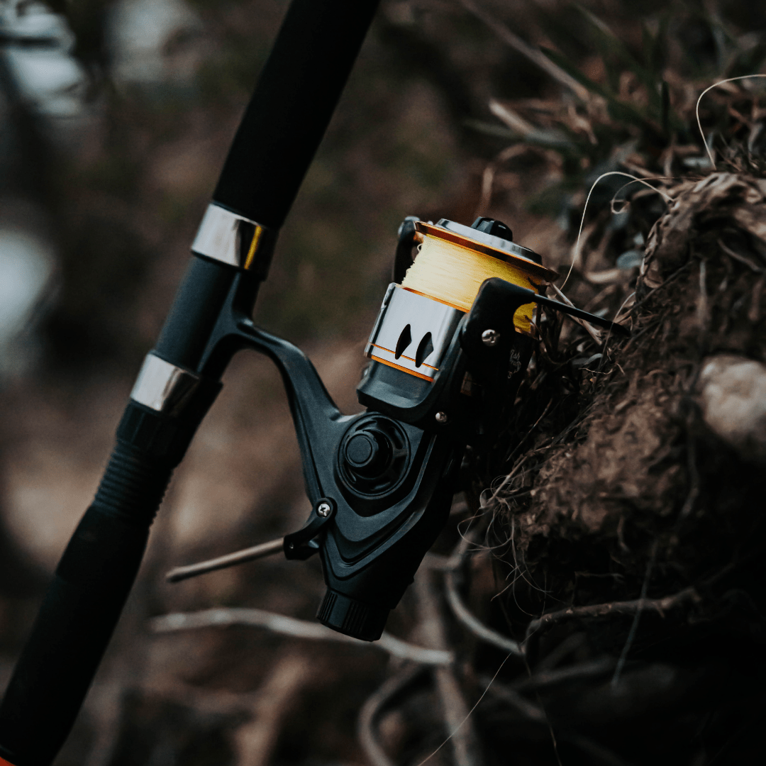 Catfish Pro 600STS Spinning Reel