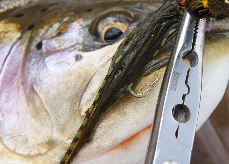 Rising Fishing Work 6"