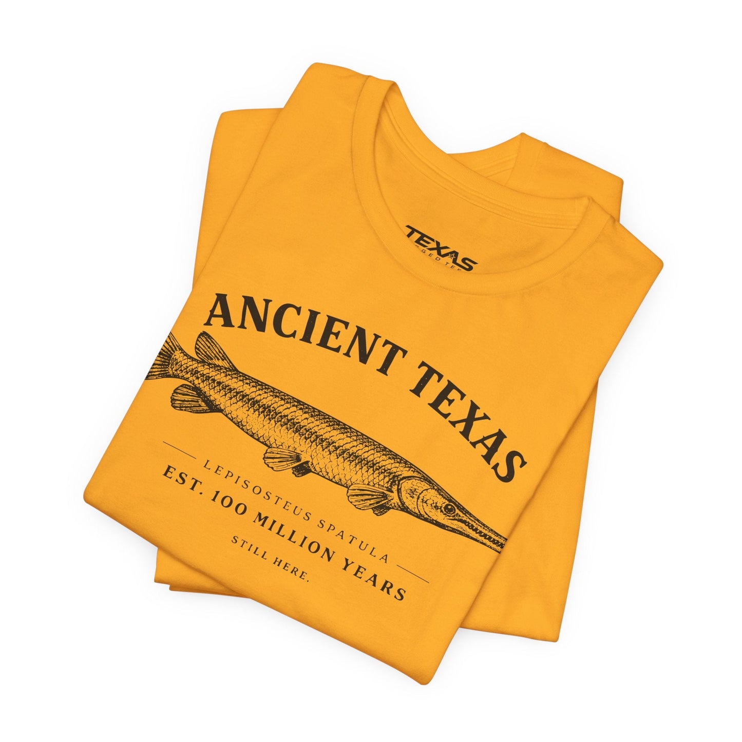 Texas Rigged Tees Ancient Texas — Unisex Cotton Tee