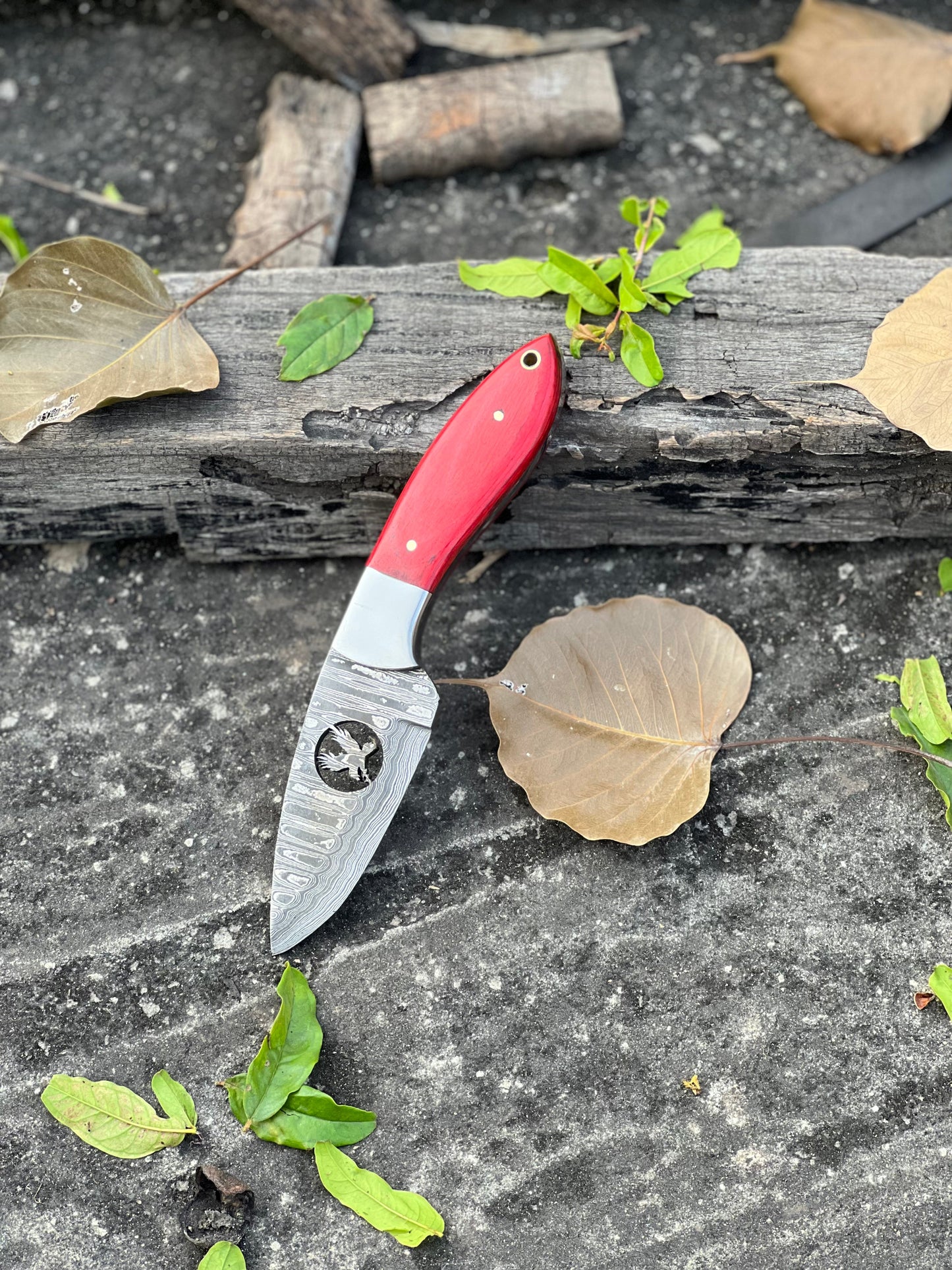 Texan Knives FIXED BLADE POCKET KNIFE, PERSONALIZED DAMASCUS STEEL FIXED BLADE HUNTING KNIFE