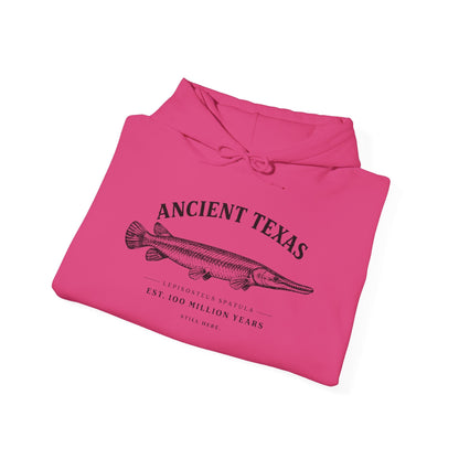 Texas Rigged Tees Ancient Texas — Unisex Hooded Sweatshirt