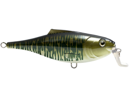 Livingston Lures BullDozer