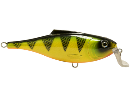 Livingston Lures BullDozer