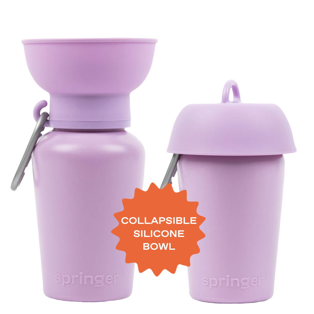 Springland Pets 20oz Flip Dog Travel Water Bottle