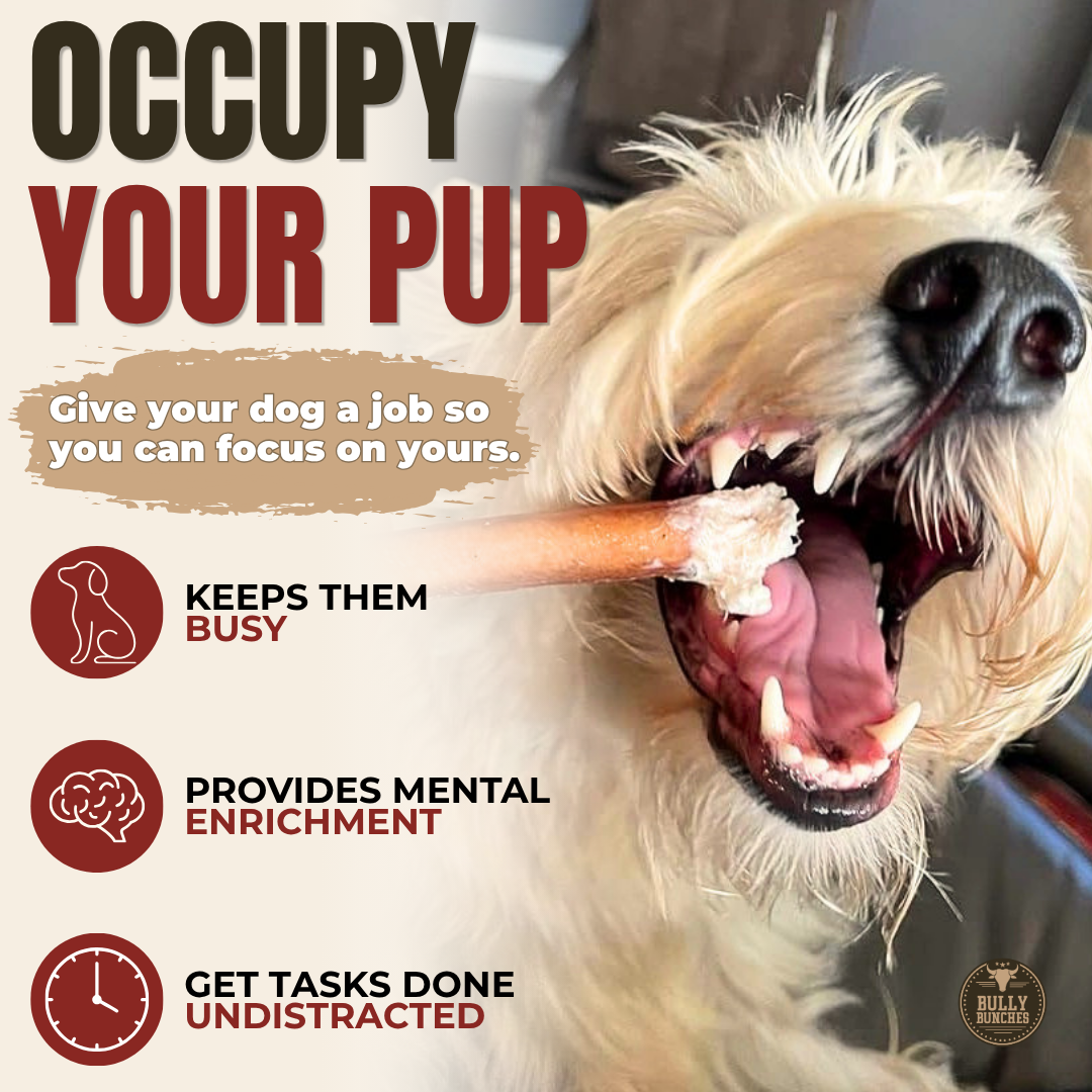 Bully Bunches - 6 Inch Standard Bully Stick