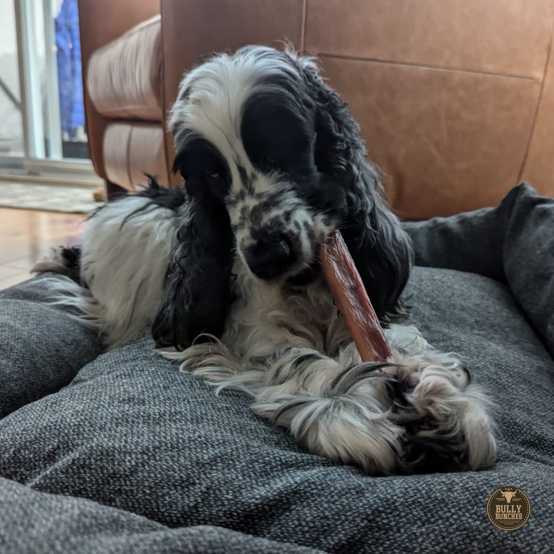 Bully Bunches - 5-6 Inch Standard Collagen Wrapped in Bully Stick