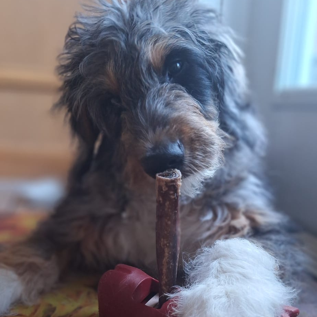 Bully Bunches - 5-6 Inch Standard Collagen Wrapped in Bully Stick