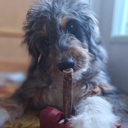 Bully Bunches - 5-6 Inch Standard Collagen Wrapped in Bully Stick