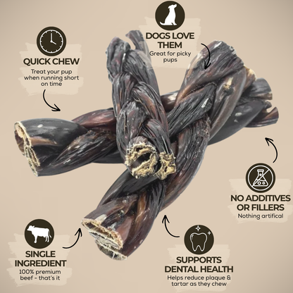 Bully Bunches - 6 Inch Braided Jerky Stick