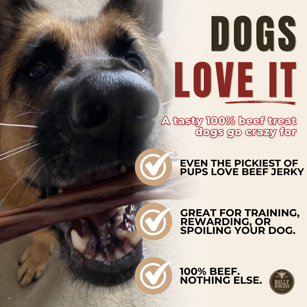 Bully Bunches - 6 Inch Beef Jerky Stick