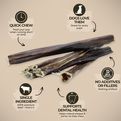 Bully Bunches - 6 Inch Beef Jerky Stick