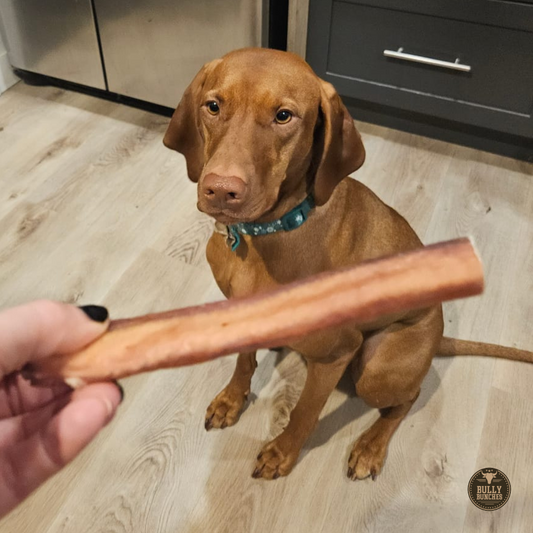 Bully Bunches - 6 Inch Jumbo Bully Stick