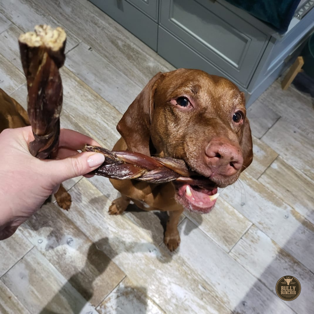 Bully Bunches - 6 Inch Braided Jerky Stick
