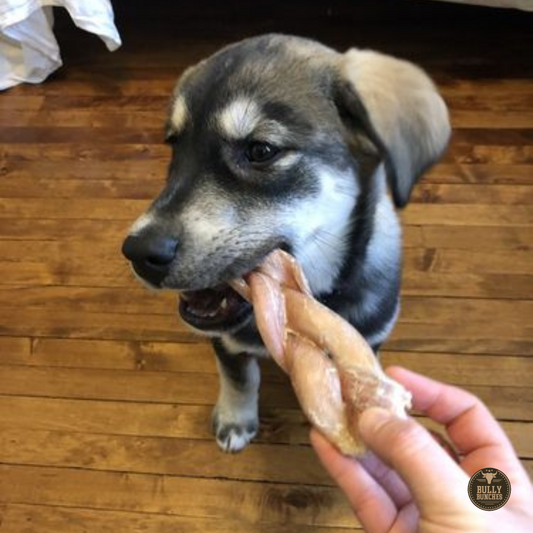 Bully Bunches - 6 Inch Jumbo Braided Bully Stick