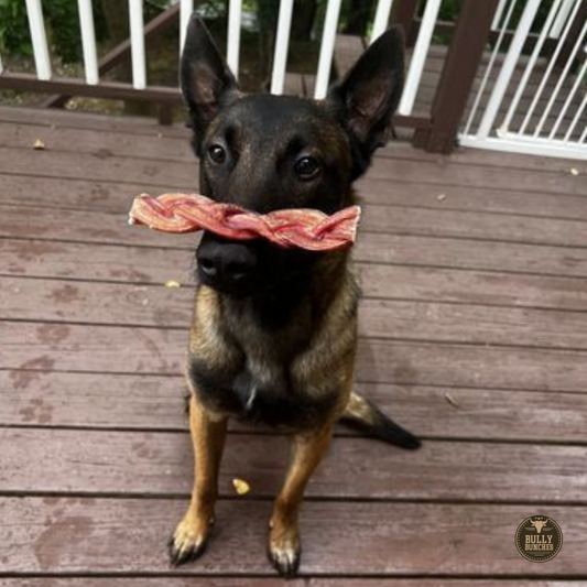 Bully Bunches - 6 Inch Monster Braided Bully Stick