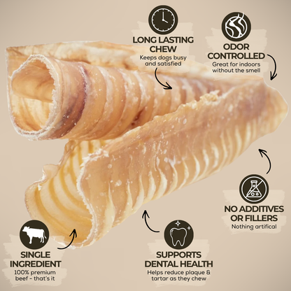 Bully Bunches - 6 Inch Beef Trachea