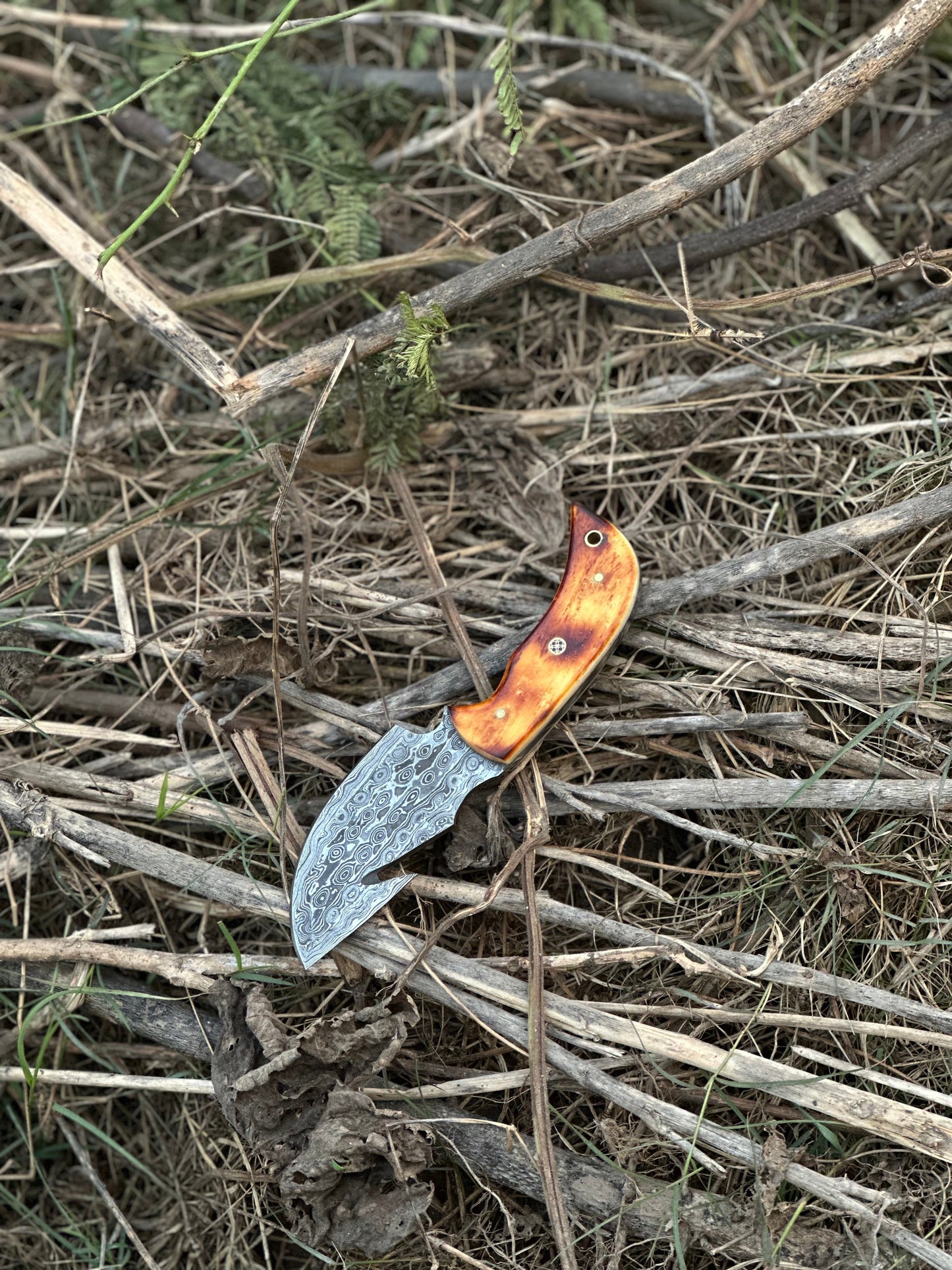 Texan Knives Custom Handmade Damascus Steel Guthook Skinning Knife with Camel Bone Handle - 7.5” Blade with Leather Sheath