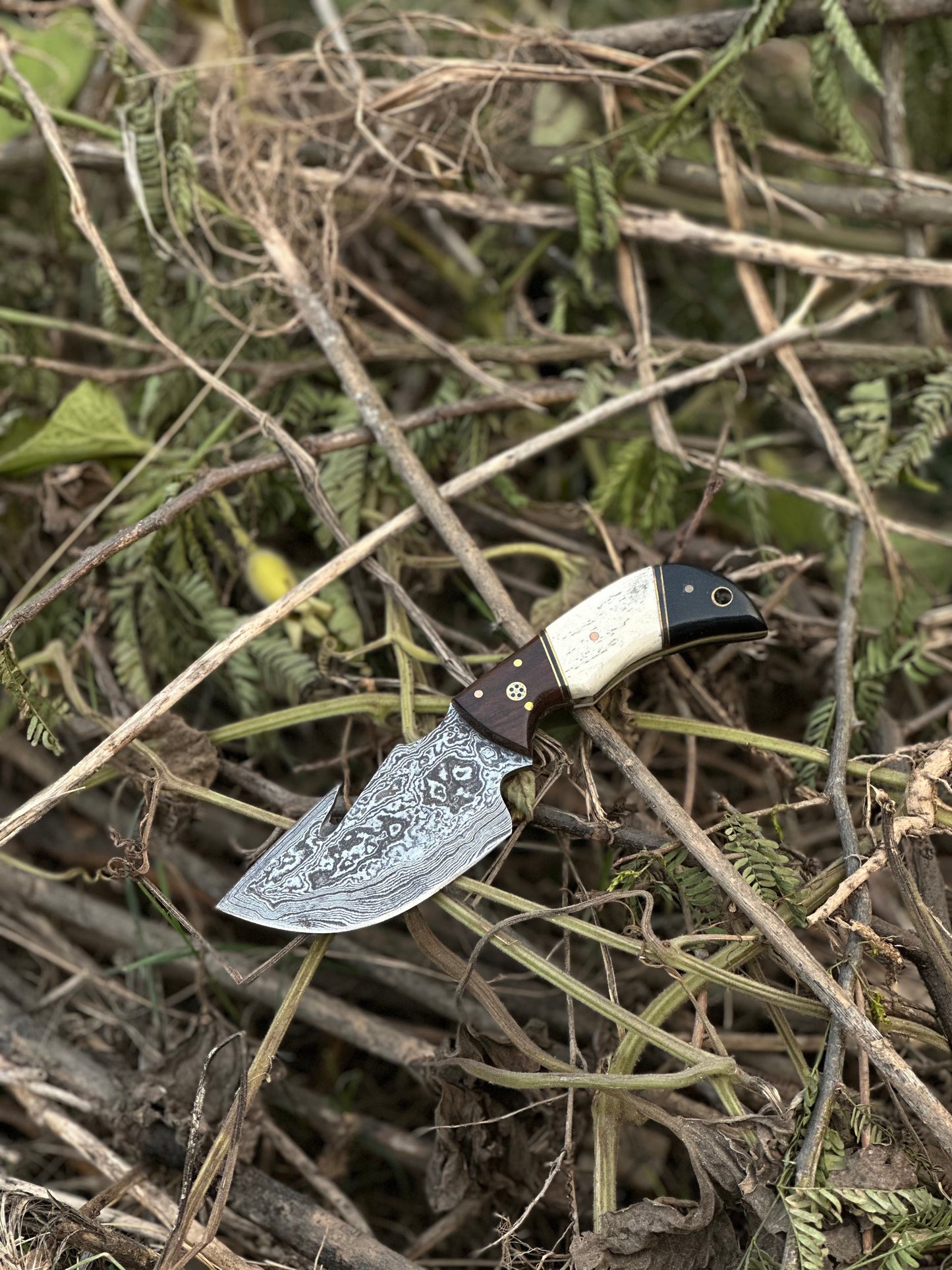 Texan Knives Custom Handmade Damascus Steel Guthook Skinning Knife with Rosewood, Camel Bone & Black Sheet Handle - 7.5” with Leather Sheath
