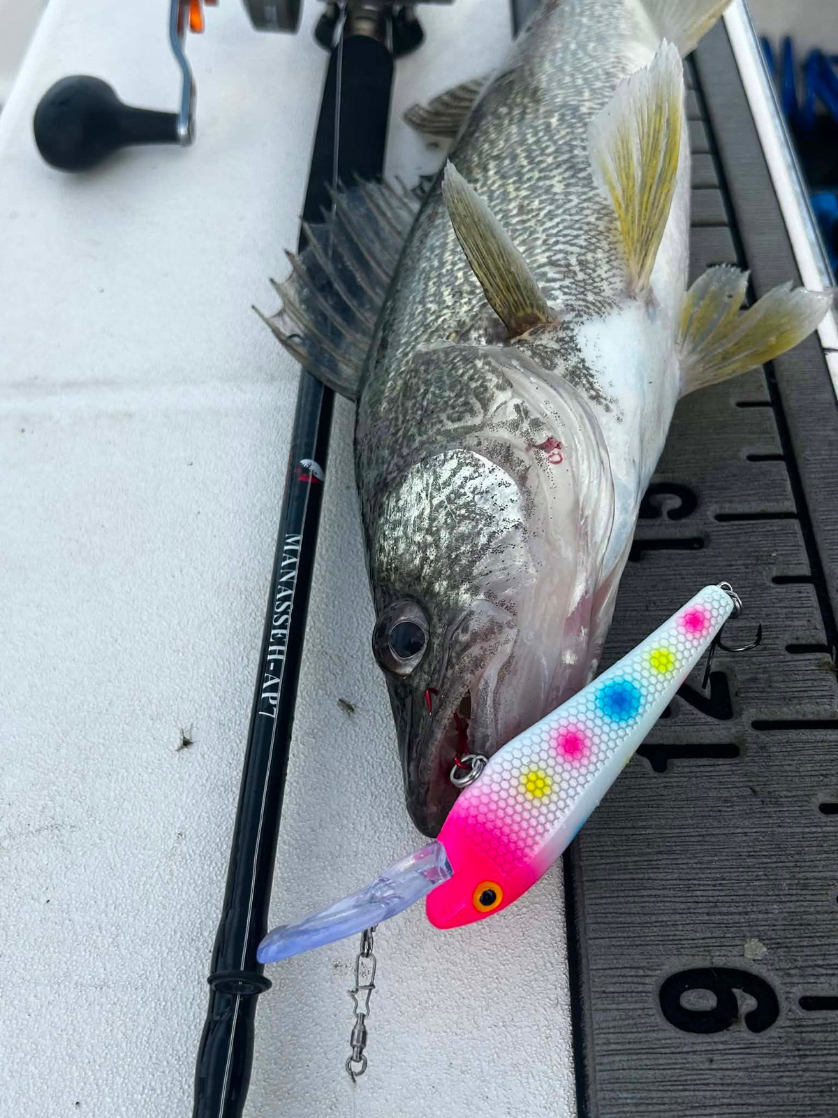 Ice Strong Outdoors - Killer Fish - Rattling DEEP Diver UV
