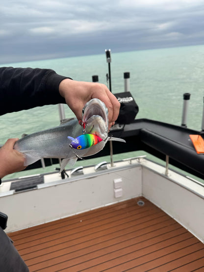 Ice Strong Outdoors - Killer Fish - Rattling Shallow Diver UV - NEW 2026 Colors Just Released!