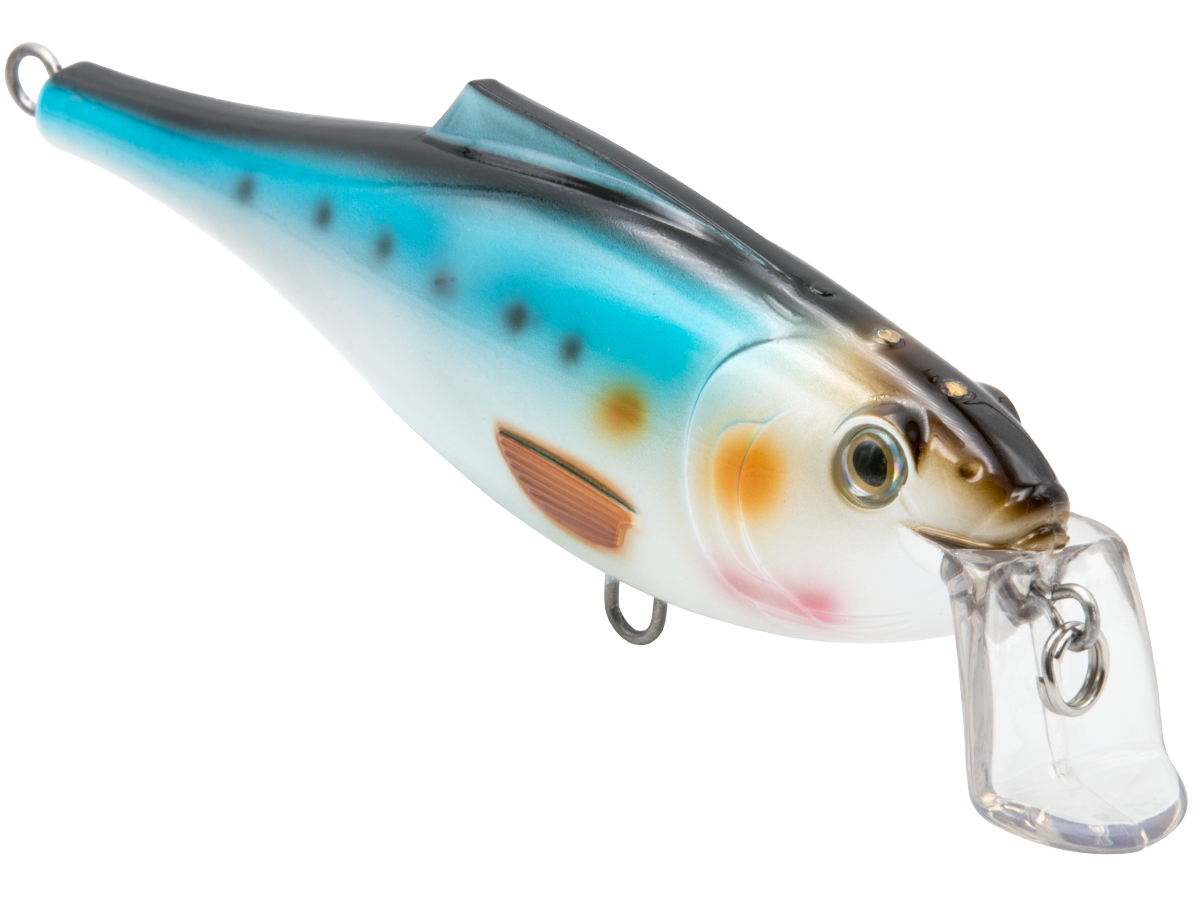 Livingston Lures BullDozer SW