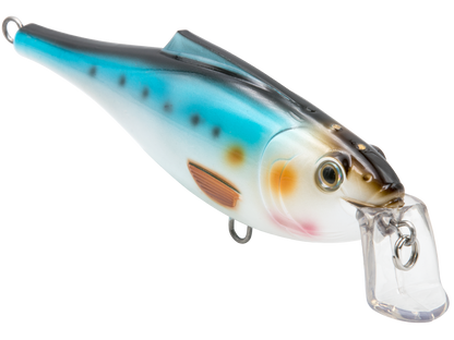 Livingston Lures BullDozer SW