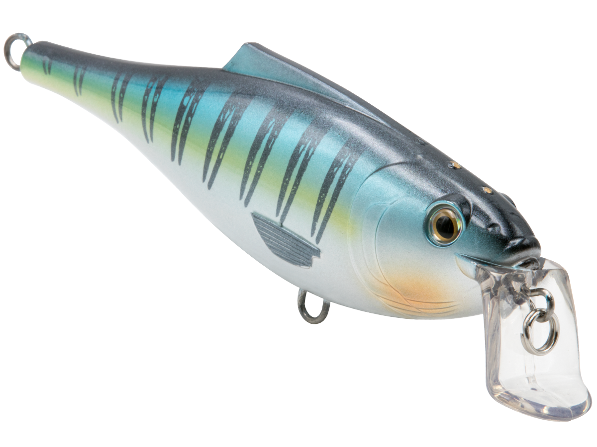 Livingston Lures BullDozer SW
