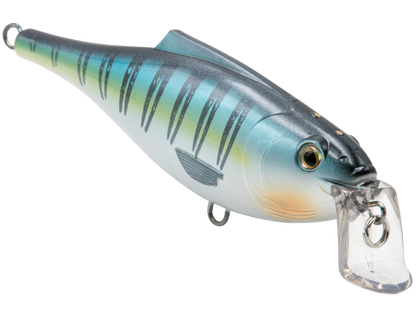 Livingston Lures BullDozer SW