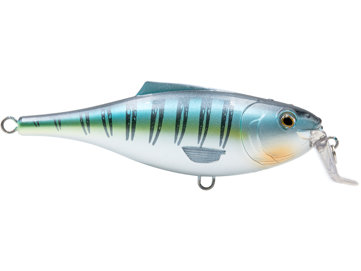 Livingston Lures BullDozer SW