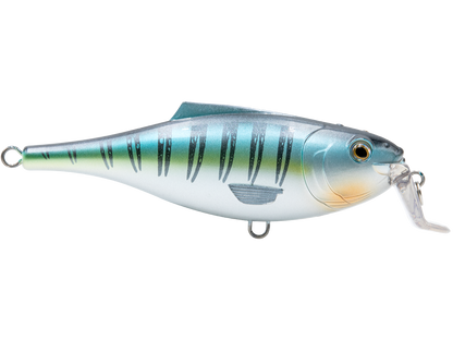 Livingston Lures BullDozer SW