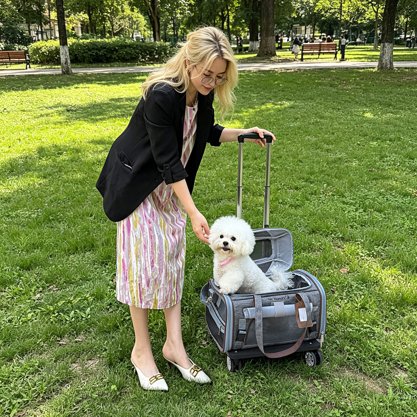 Mr. Peanut's Gold Series Standard Size Airline Compliant Expandable Pet Carrier