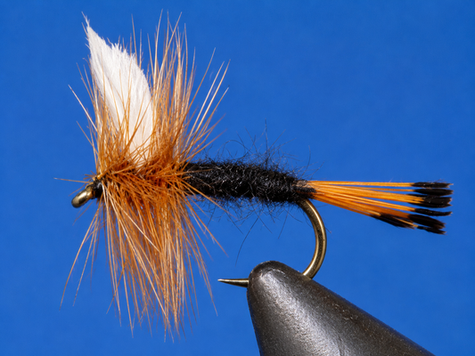 Stone Creek Rio Grand King