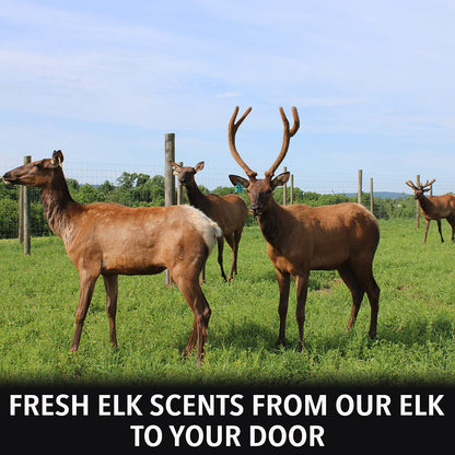 Outdoor Hunting Lab Elk Urine