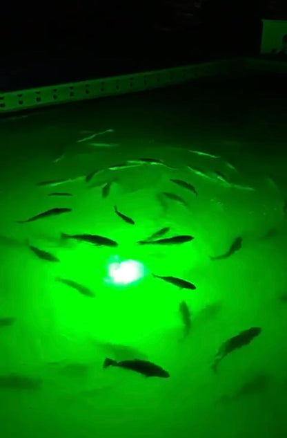 Under Water Green Fishing Lights Super Mega Brite Underwater Light System (400 Watts)