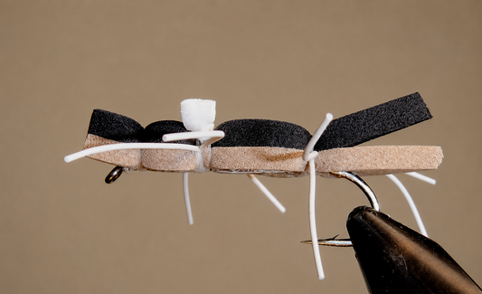 Stone Creek Chernobyl Ant - Black