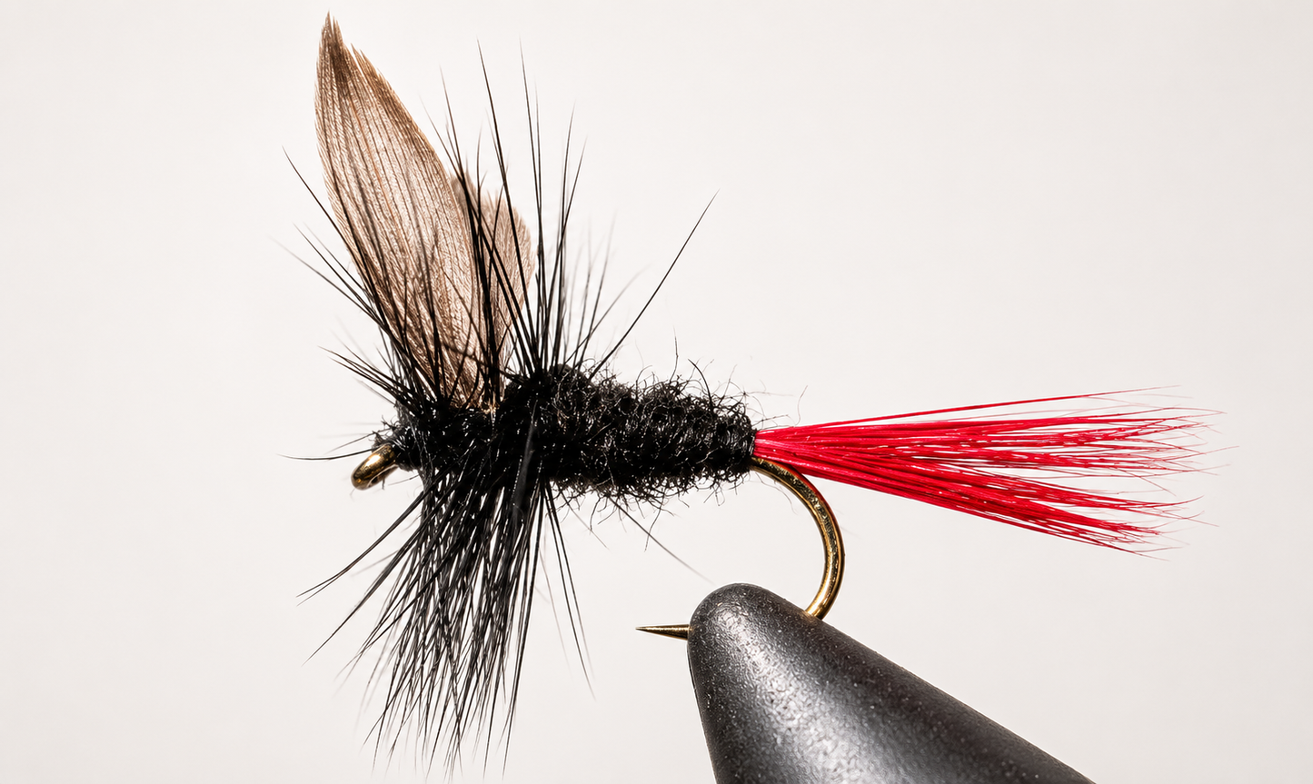 Stone Creek Black Gnat - Black Tail or Red Tail