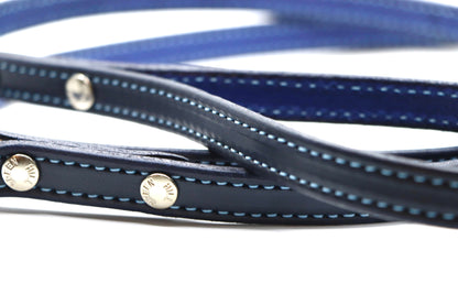 Remarkable Leather Goods Limited Edition Light Blue Stitched Dog Leash