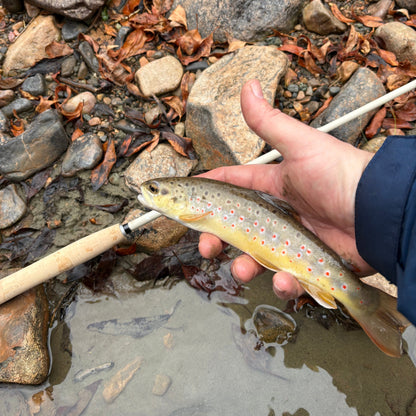 Wasatch Tenkara Rods MothRod