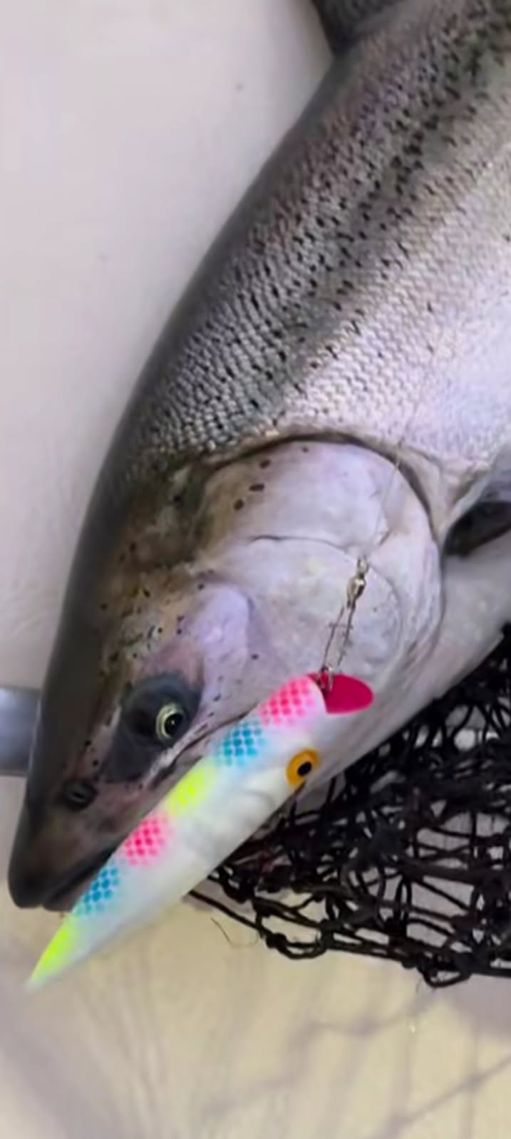 Ice Strong Outdoors - Killer Fish - Rattling TROLLING PLUG UV - NEW 2026 Colors Just Released!
