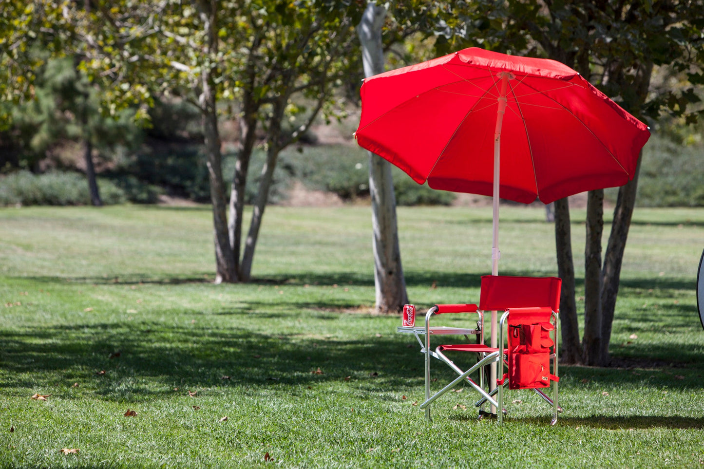 Picnic Time Sports Chair