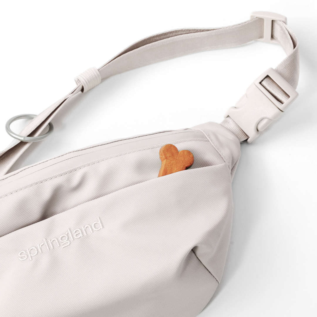 Springland Pets Hands-Free Dog Walking Bag with 4ft Leash