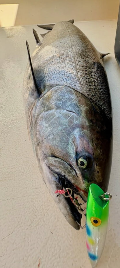 Ice Strong Outdoors - Killer Fish - Rattling TROLLING PLUG UV - NEW 2026 Colors Just Released!