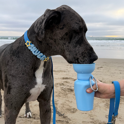 Springland Pets Waterproof Dog Collar
