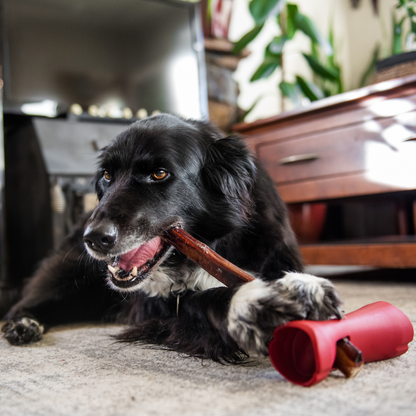Bully Bunches - Bully Stick Safety Holder