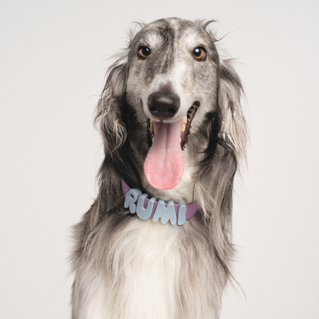 Springland Pets Waterproof Dog Collar