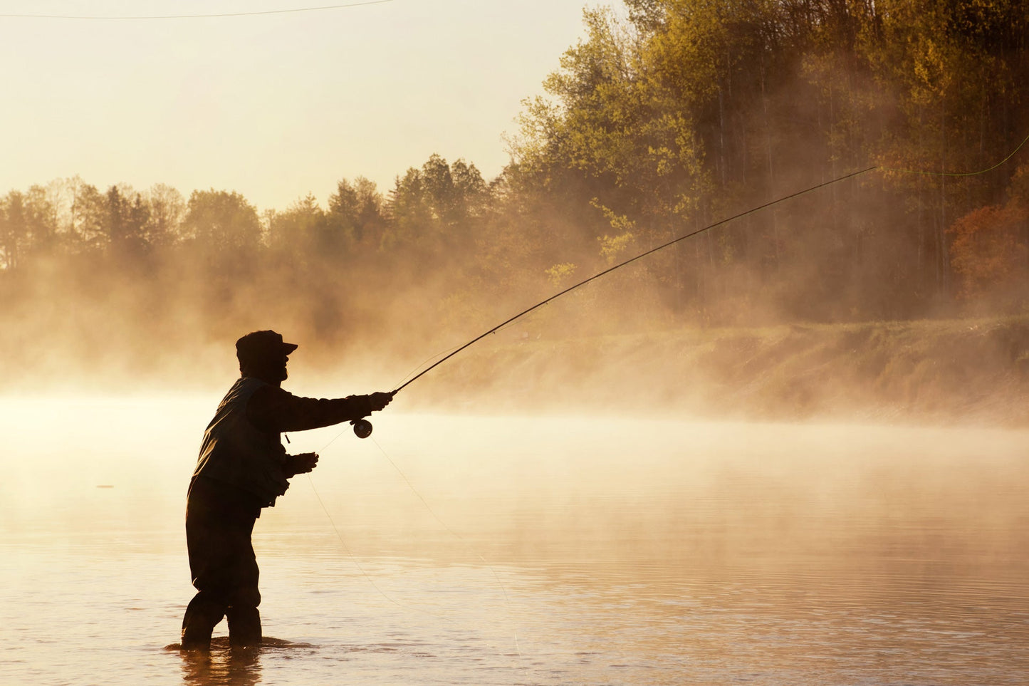 The Fly Fishing Place 3 Pack Pale Morning Dun PMD Classic Dry Fly - Hook Size 14