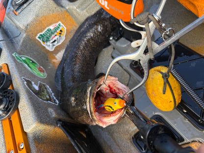 High Octane  HOCB Ducks
