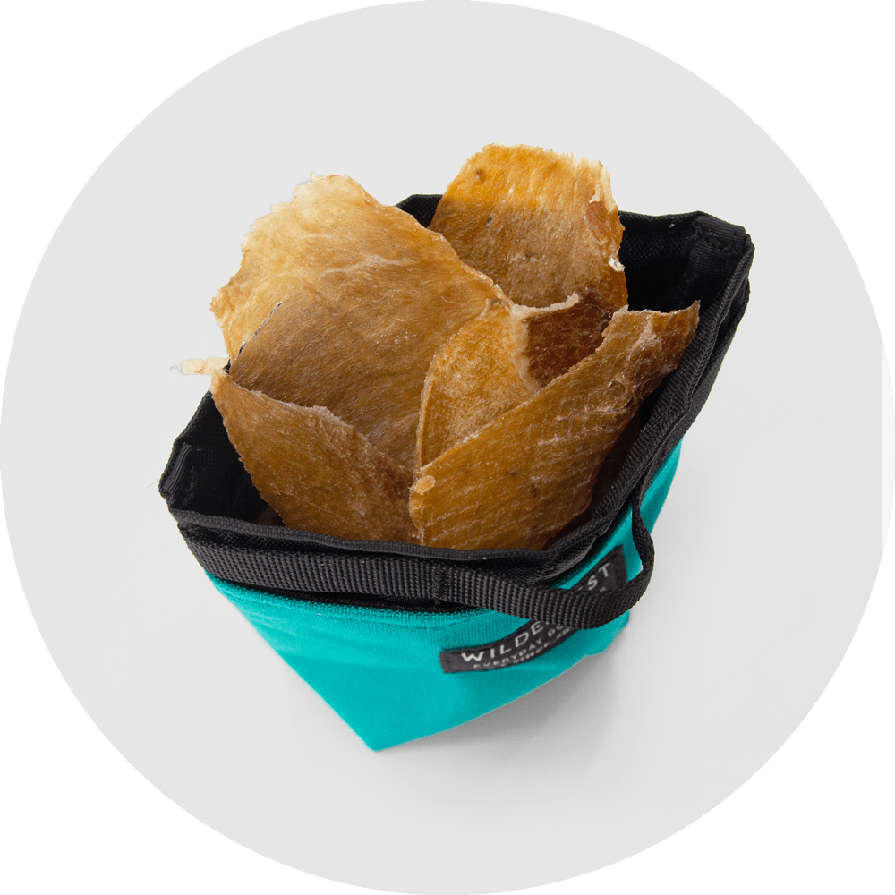 Wildebeest Alamo Dog Treat Pouch