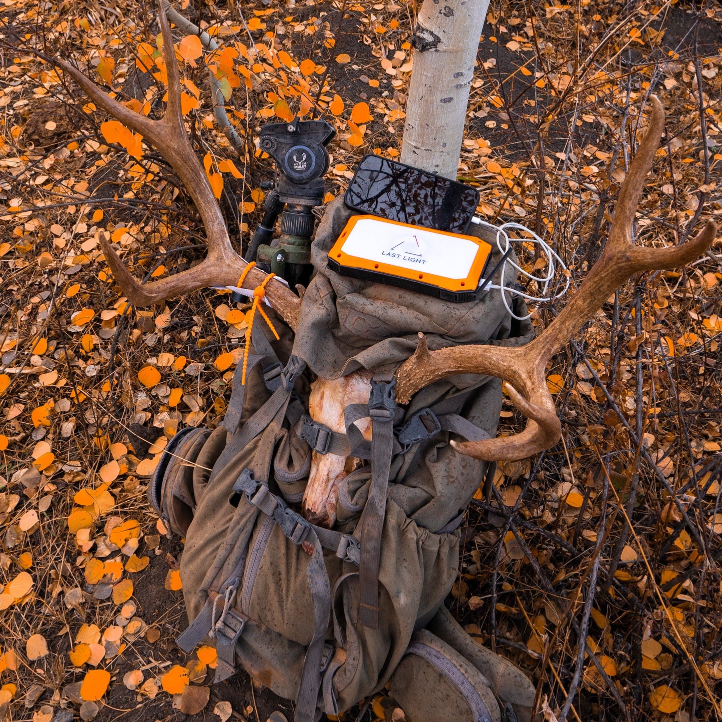 Last Light 20000 mAh Solar Power Bank & Charger