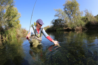 The Fly Fishing Place 3 Pack Goddard Caddis Dry Fly - Size 14